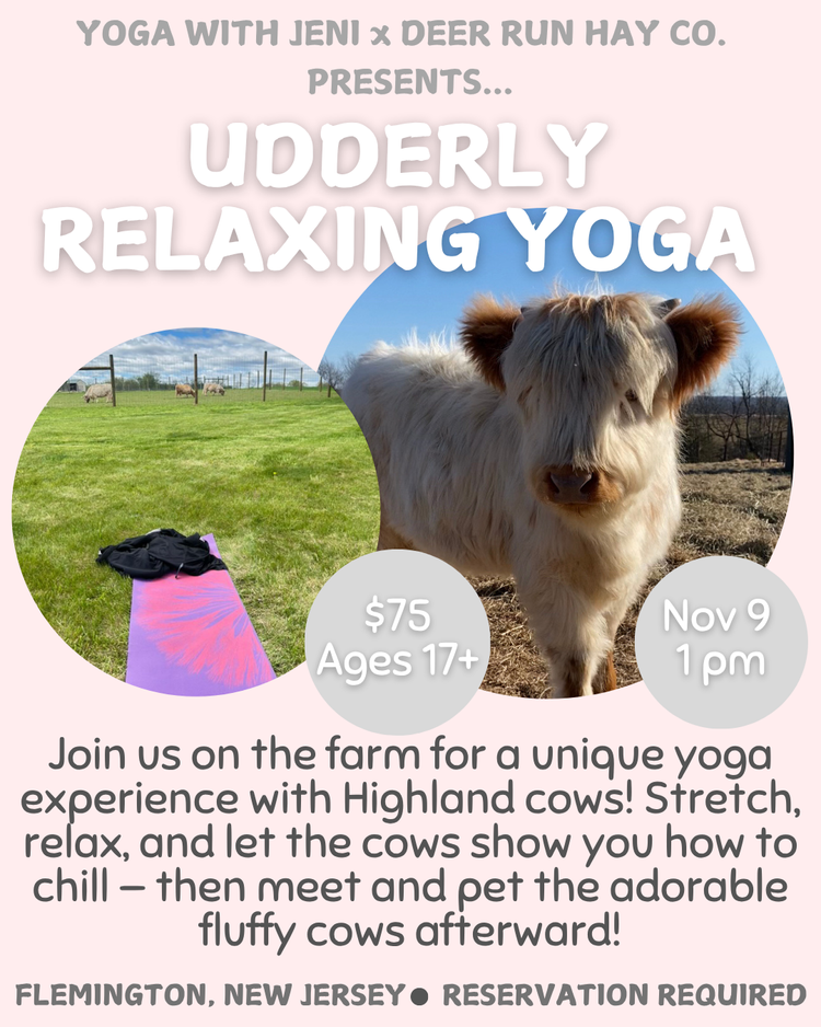 farm-experiences-deer-run-hay-co-cattle