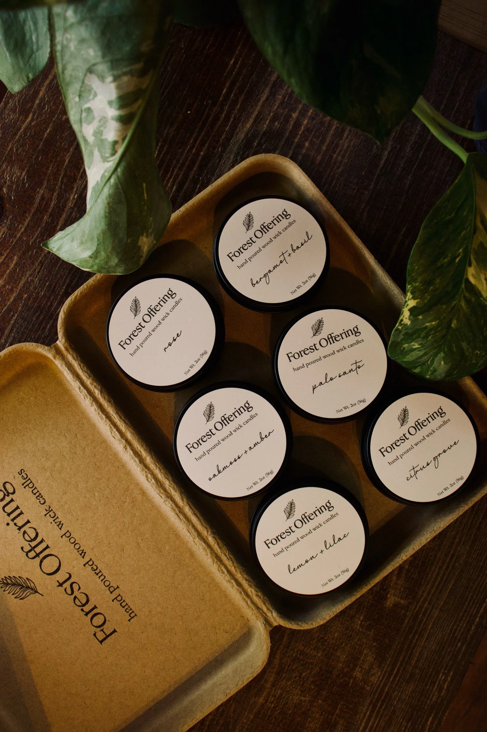Candle Discovery Set
