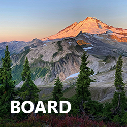 Board Meeting: Q4 2025