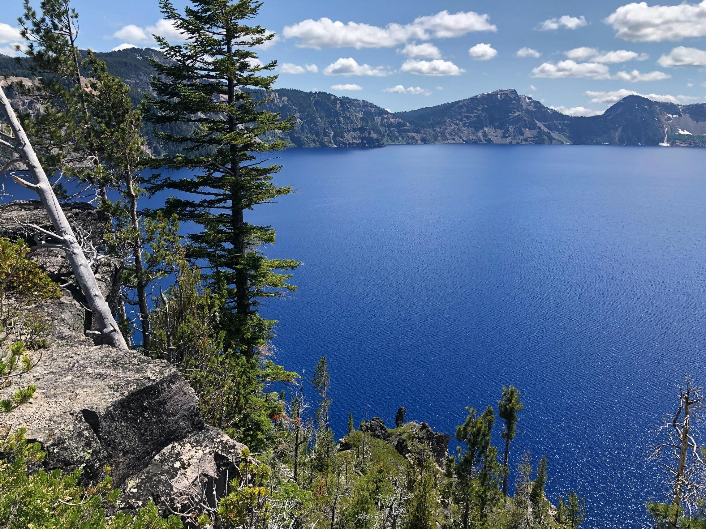 Building Health Literate Organizations: A Guidebook to Achieving Organizational Change