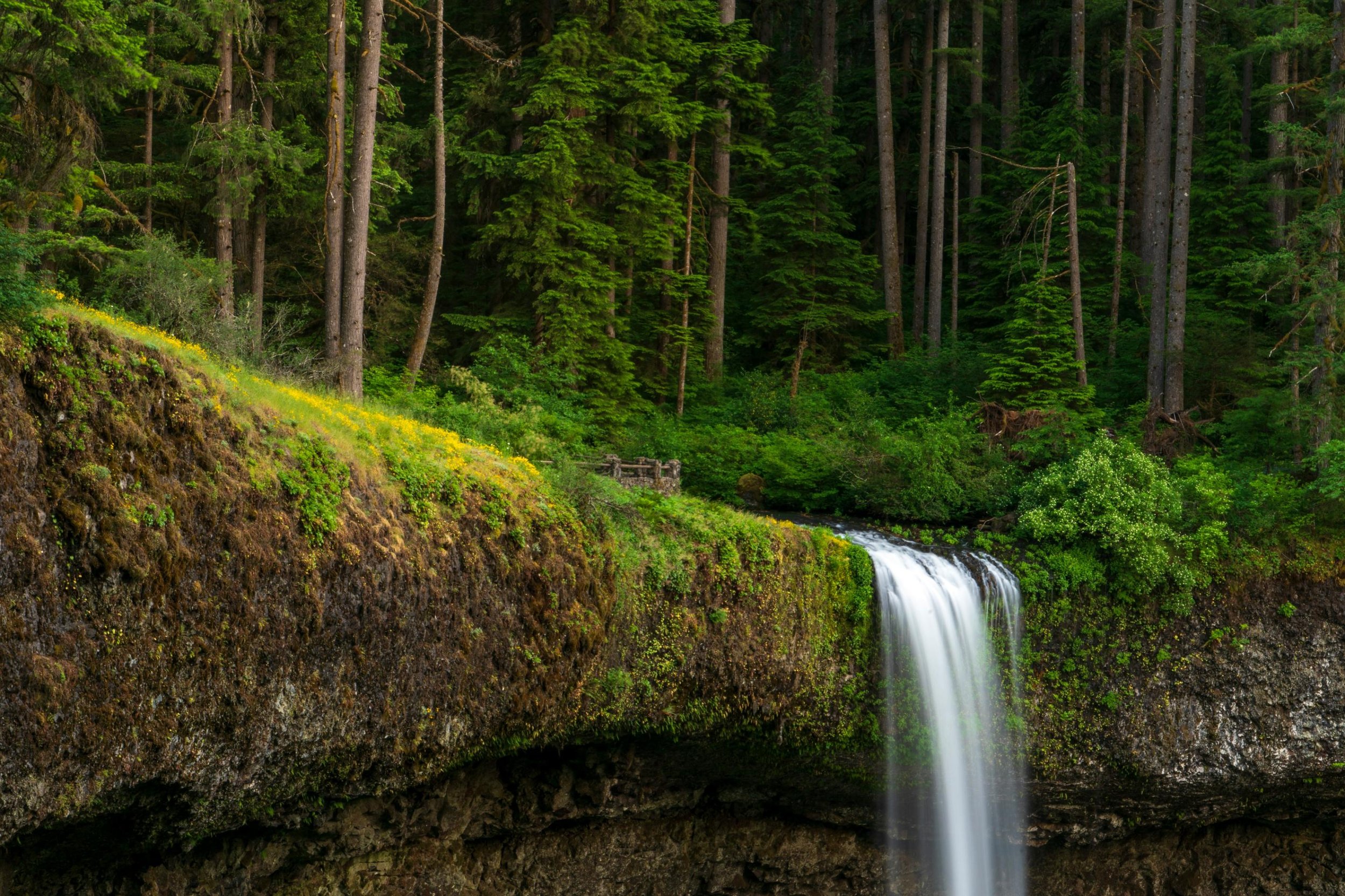 OPSC Patient Safety Minute: What’s Top of Mind for Oregon’s Long-Term Care Pros? Insights from the OHCA Spring Expo