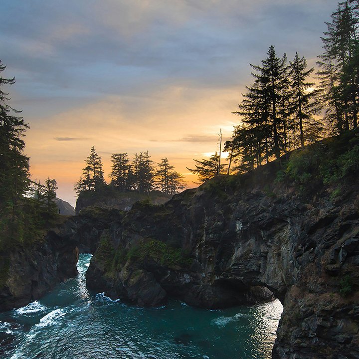 Design Better, More Effective Quality Improvement Surveys by Avoiding These Errors