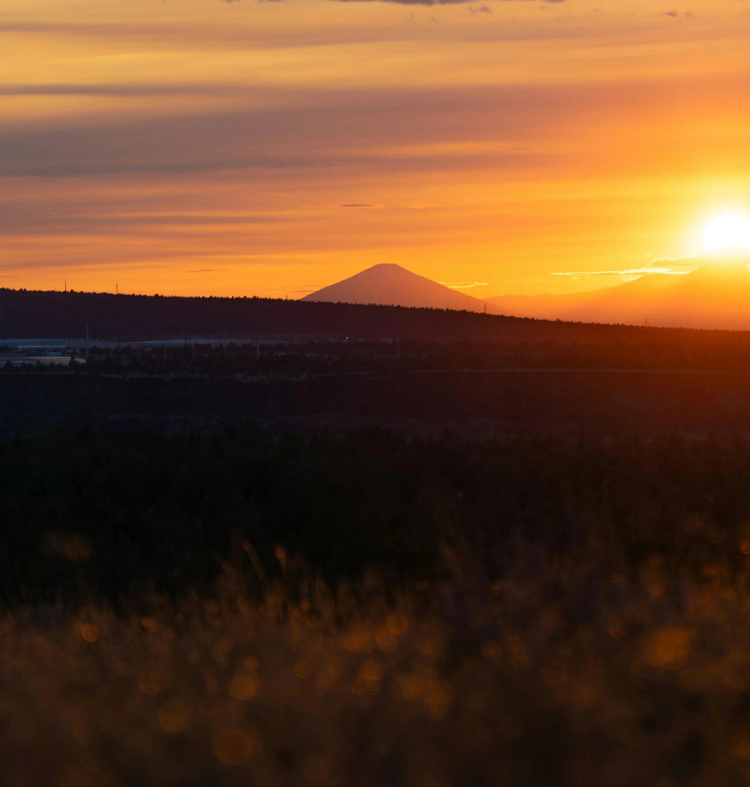 Harm Communication Coaching Guide: Talking with Patients and their Families about Harm Events