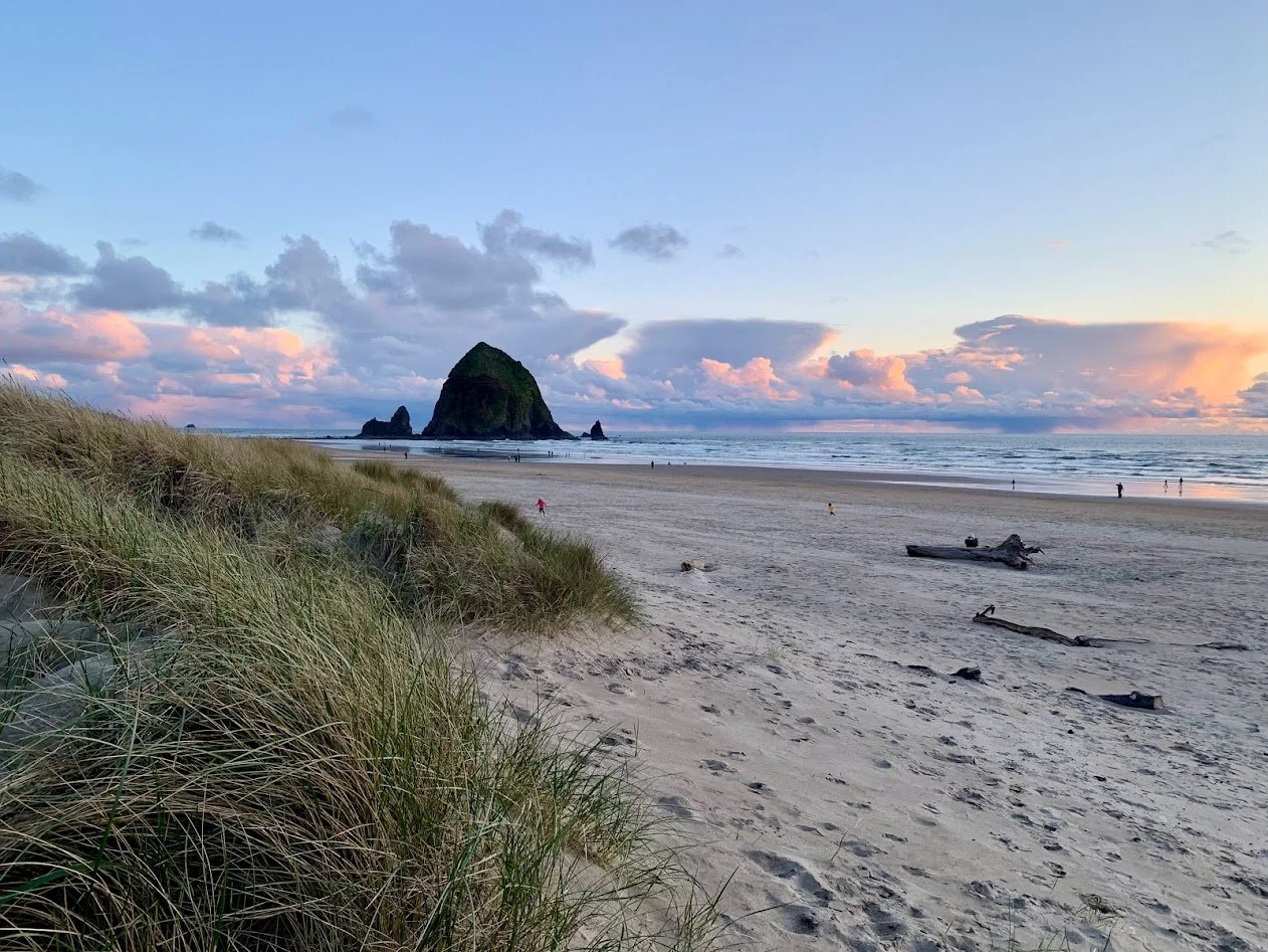 OPSC Patient Safety Minute | Your Harm Response: Sharing Results of an Event Review with Patients &amp; Families