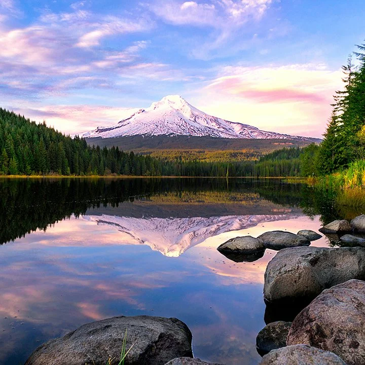 Establishing Guidewires as “Countable” Items