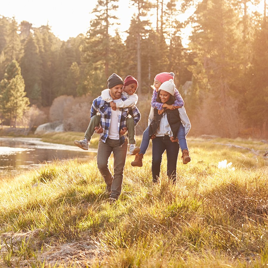 Free from Harm: Accelerating Patient Safety Improvement Fifteen Years After “To Err Is Human”