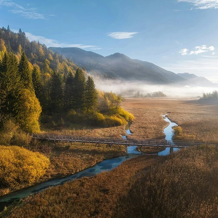 Patient Safety Network (PSNet)