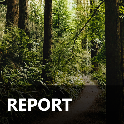 OPSC 2025 Annual Progress Report