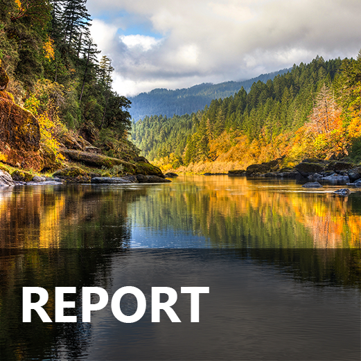 2024 EDR Annual Report