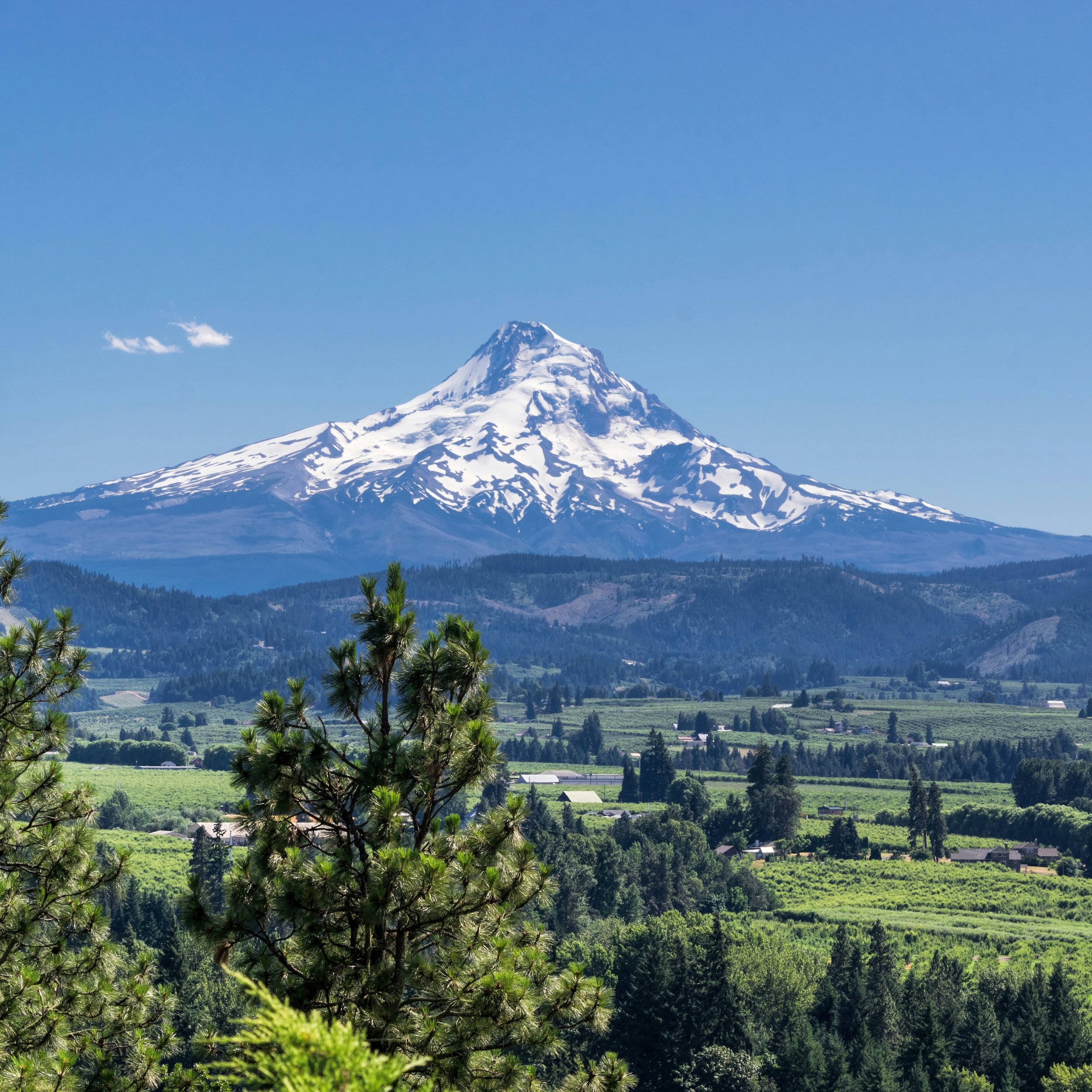 Image of Mt Hood on  asunny day