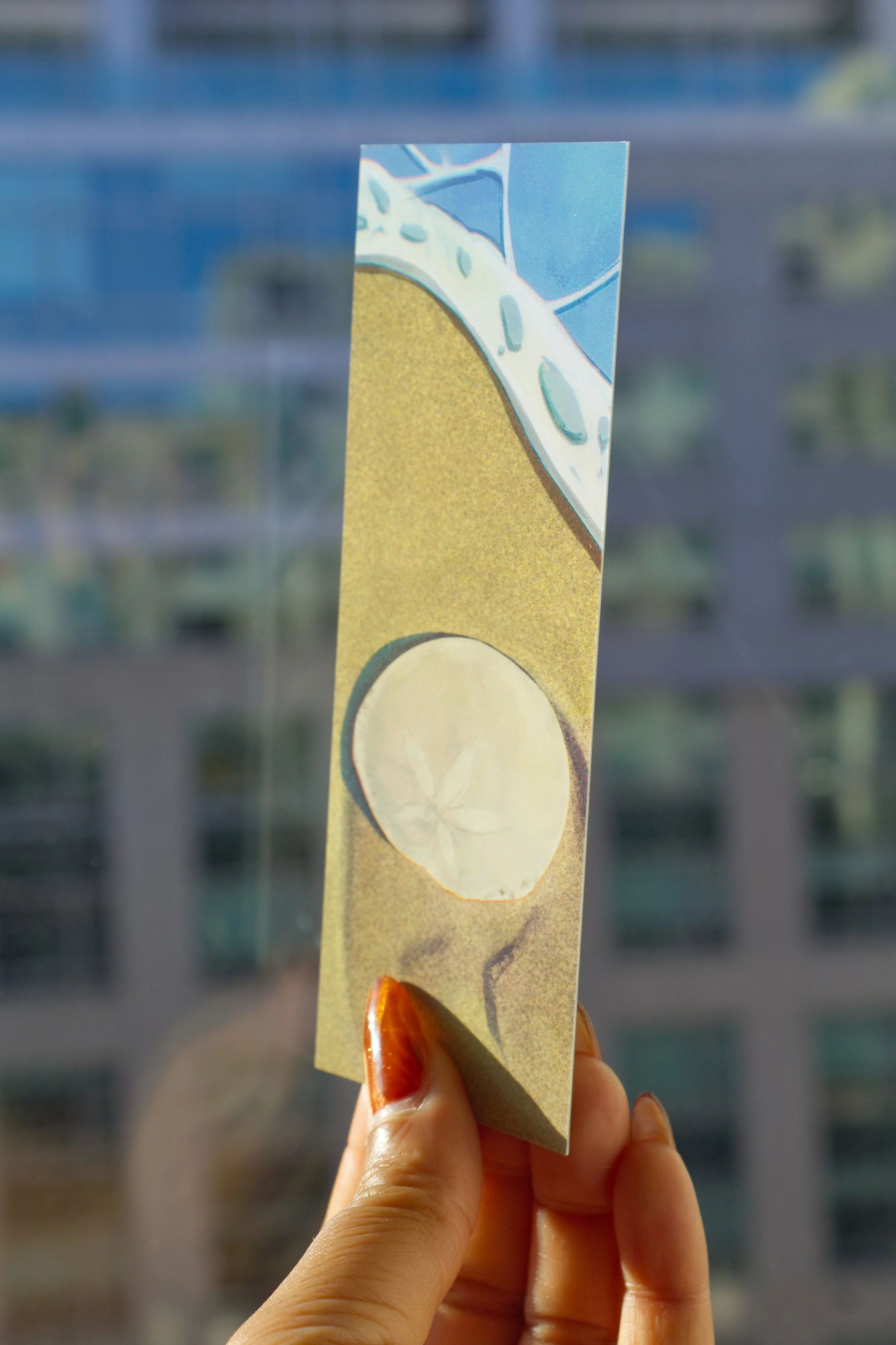 SandDollar_Bookmark4.jpg