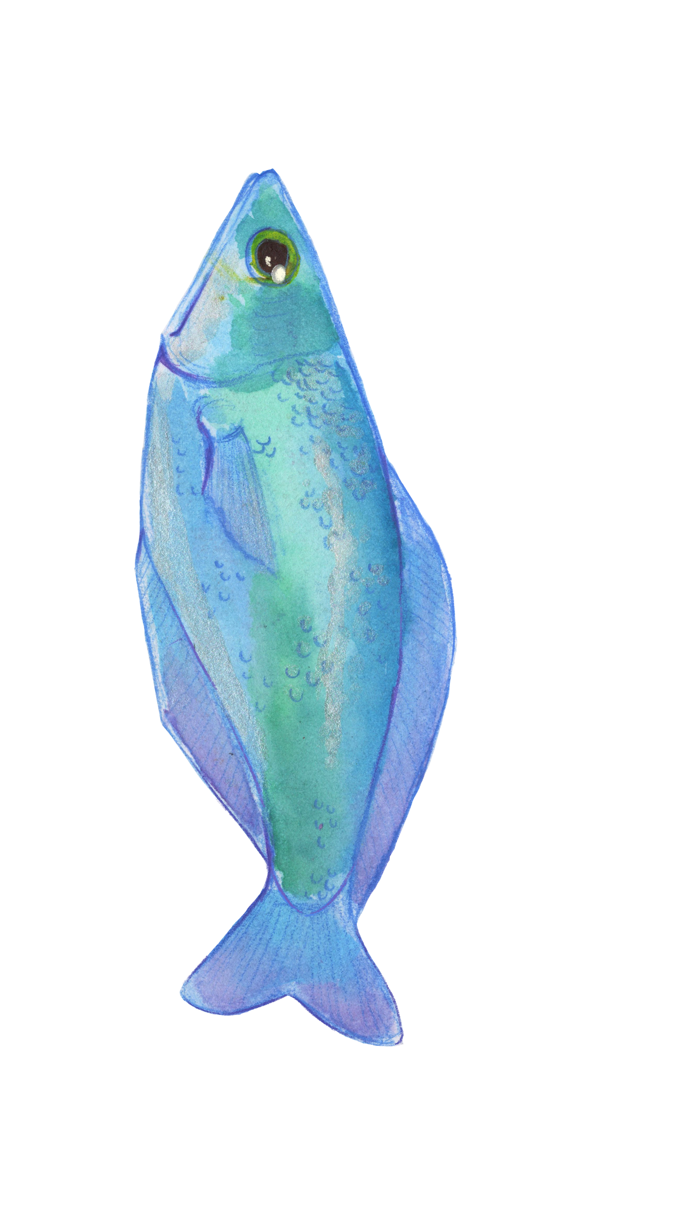 Blue Fish Sticker