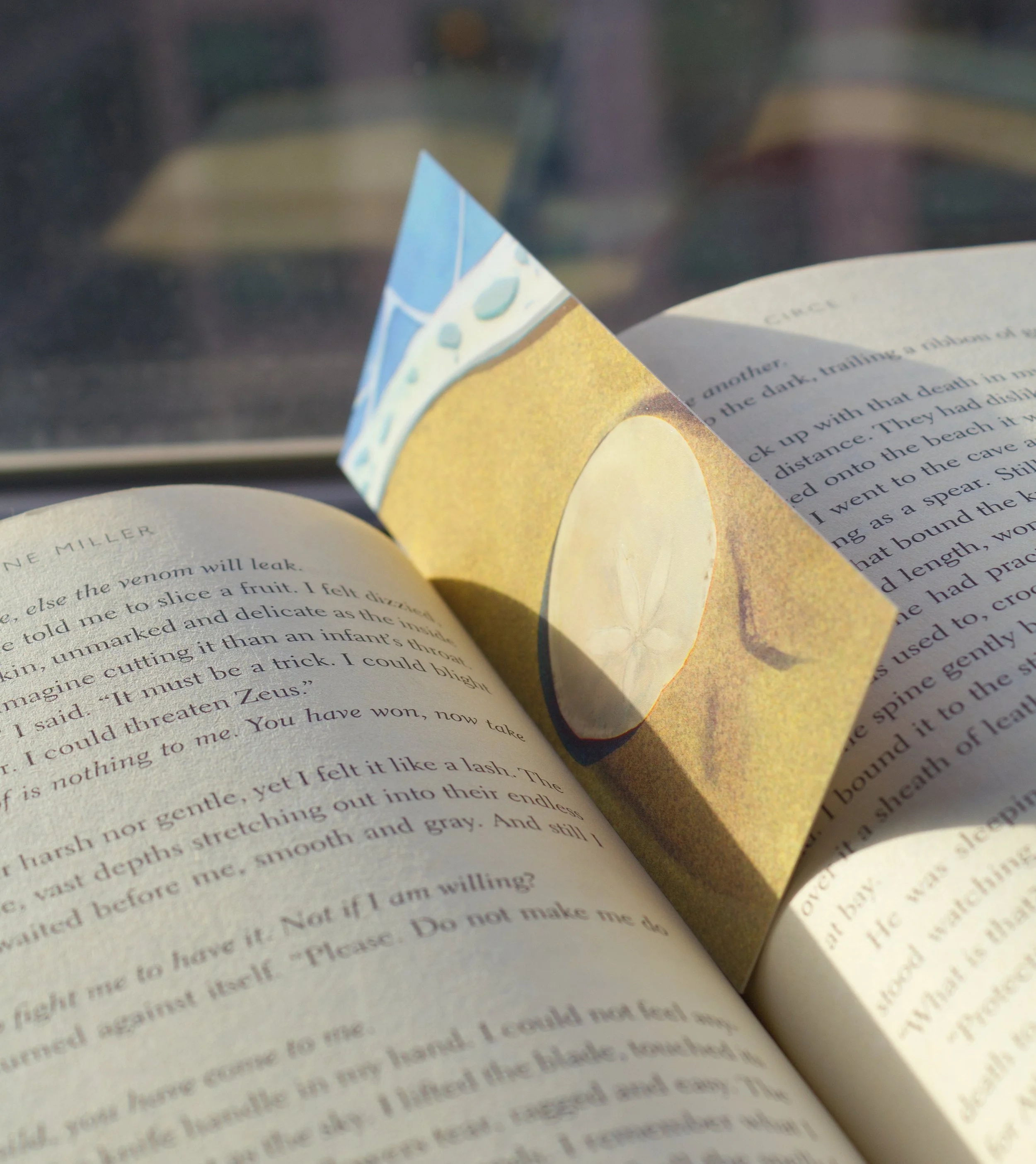 Sand Dollar Bookmark