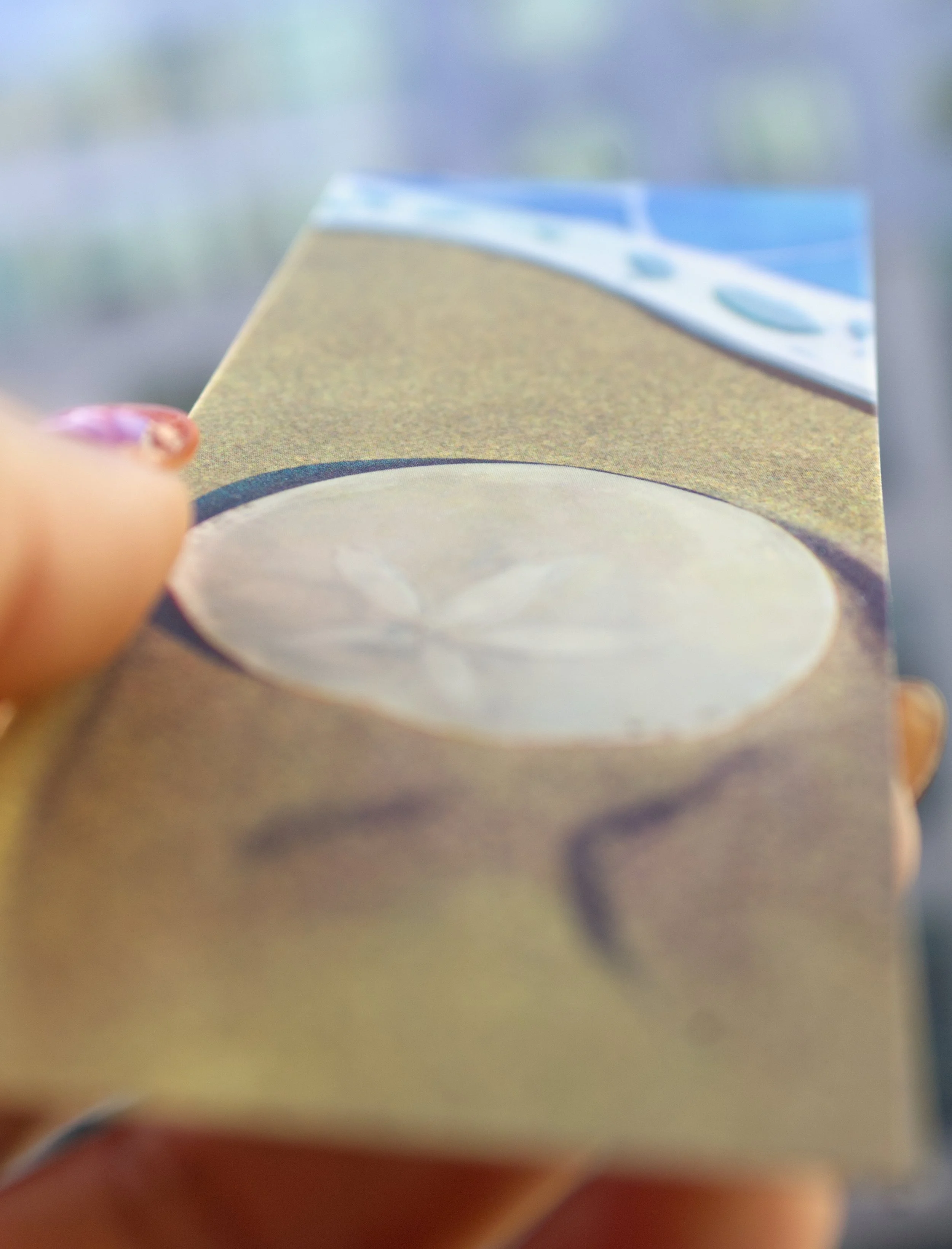 SandDollar_Bookmark.jpg