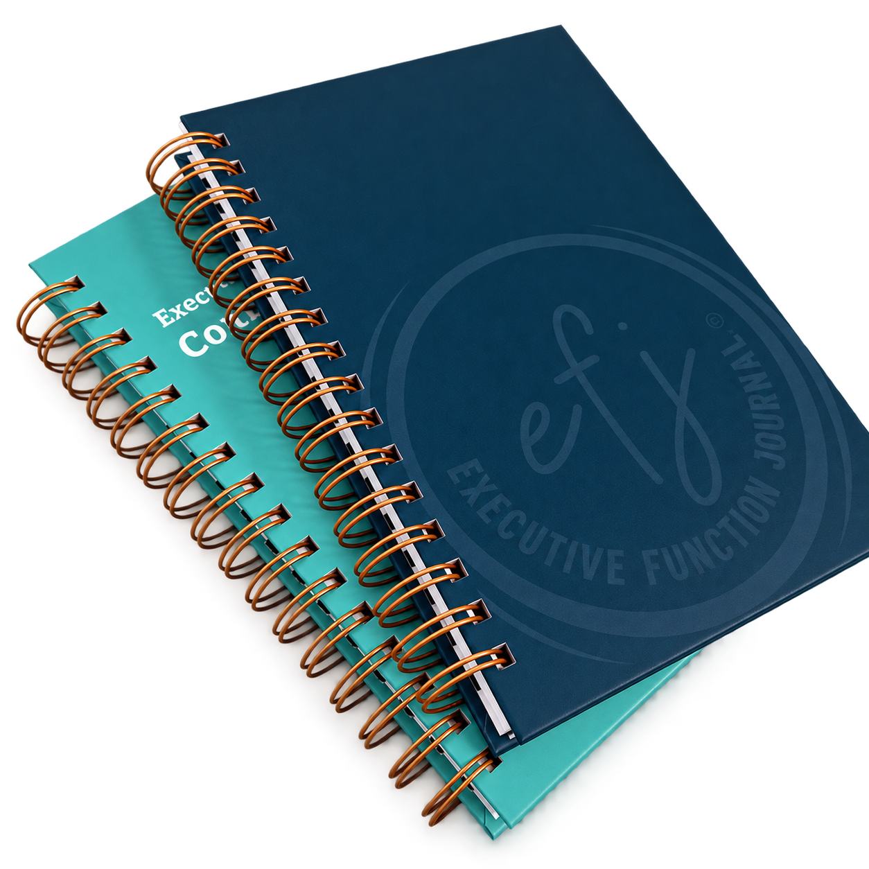 Journal and Companion Guide Bundle