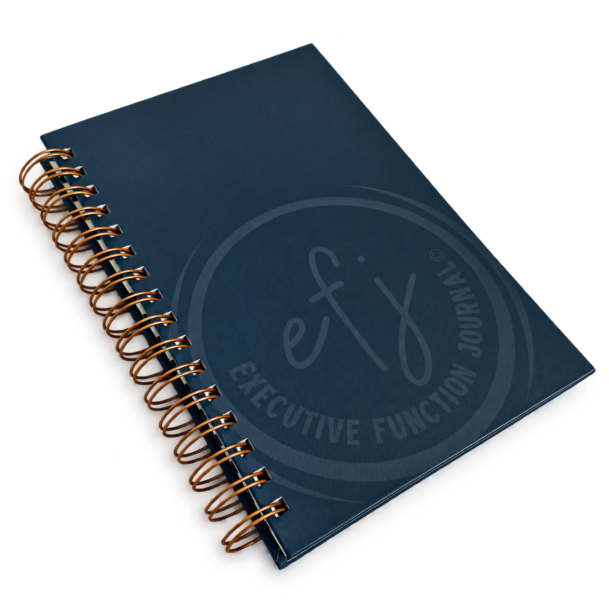 Executive Function Journal