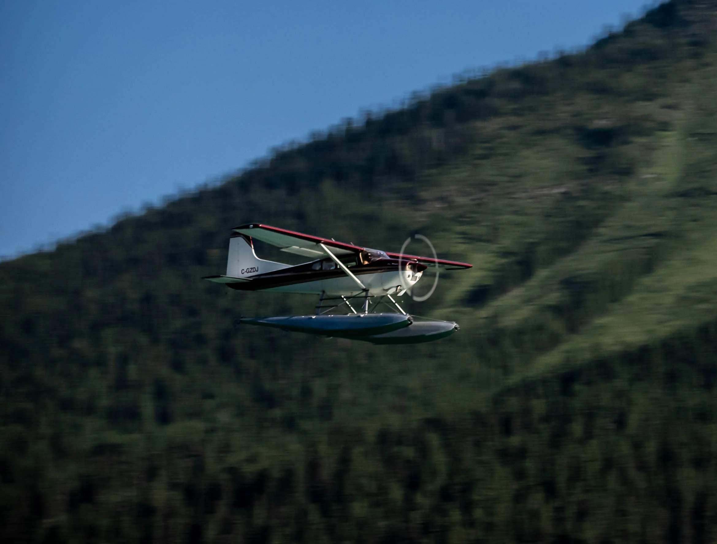 _DSC2087.jpg