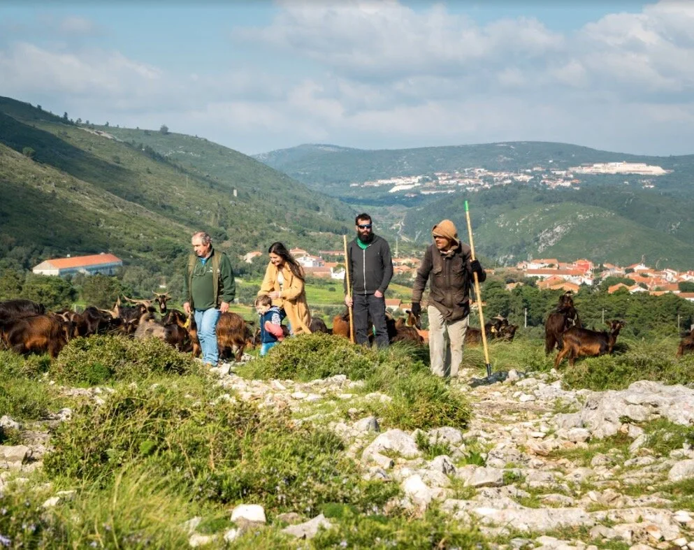 Screenshot 2021-09-21 at 13.26.28.jpg