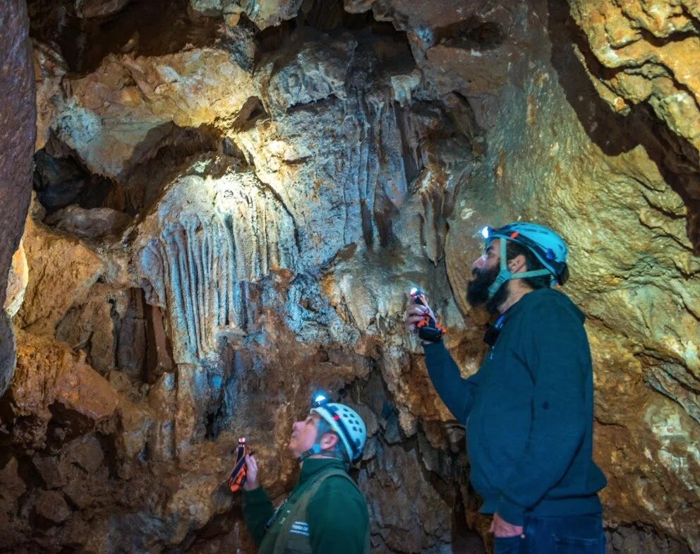 Screenshot 2021-09-21 at 13.36.27.jpg