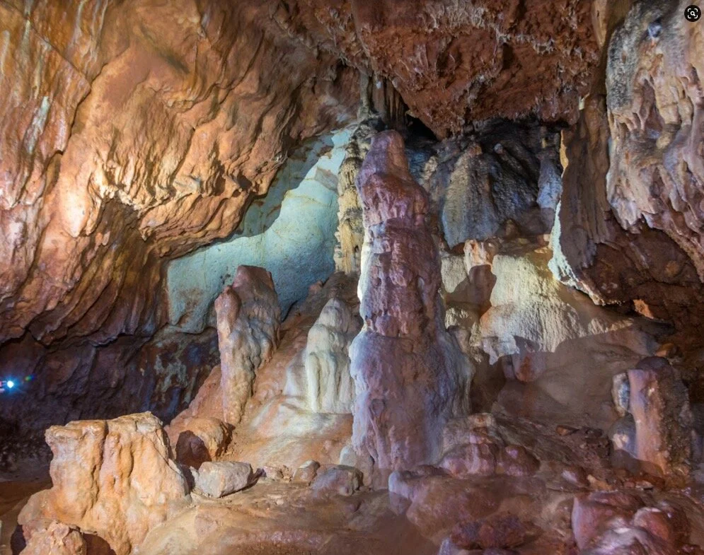 Screenshot 2021-09-21 at 13.34.46.jpg