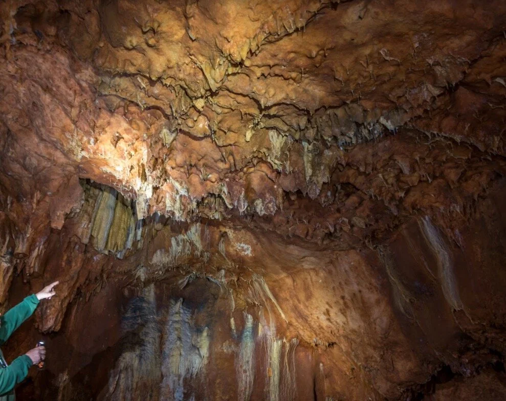 Screenshot 2021-09-21 at 13.35.00.jpg