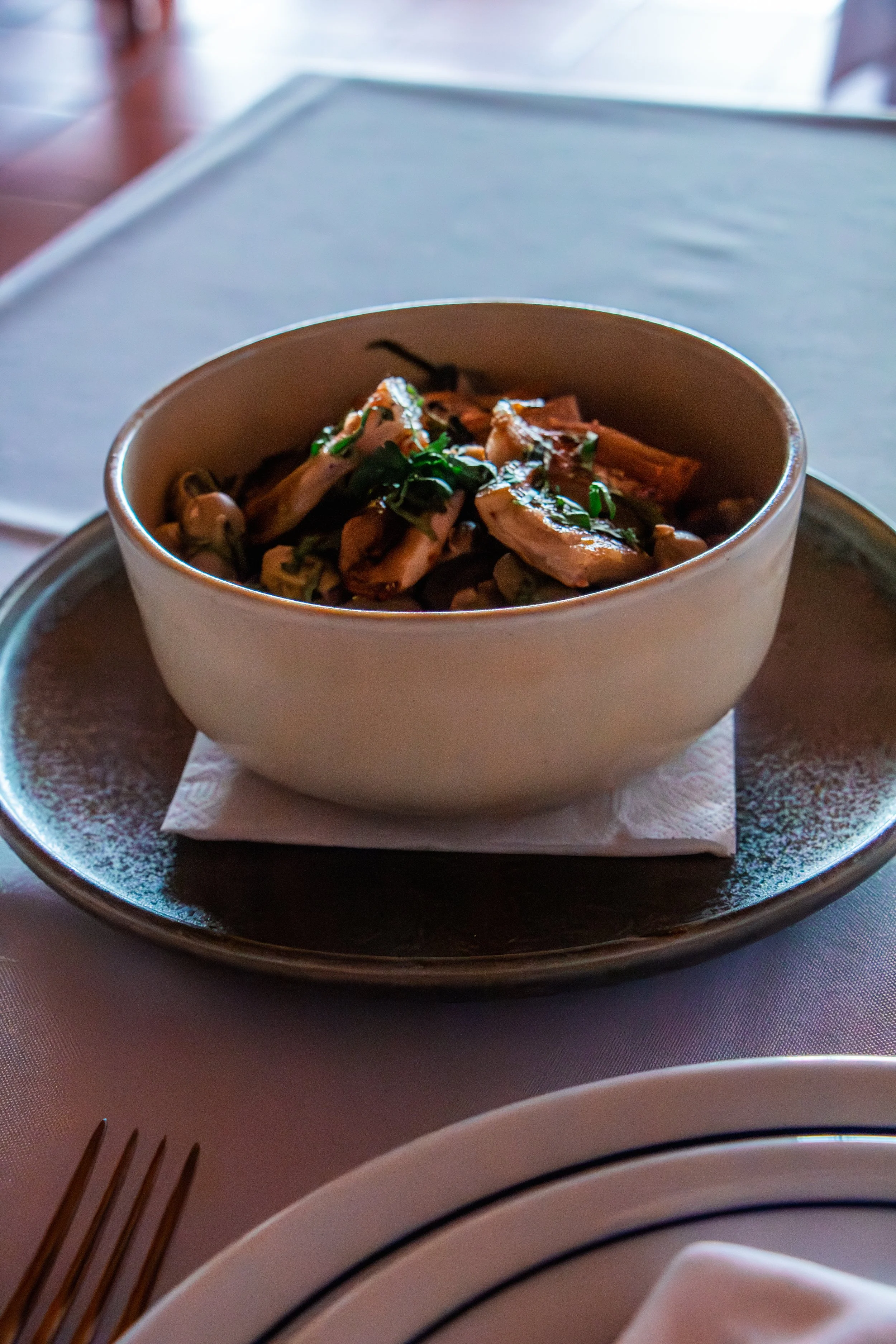 Terra Cha S17-97.jpg