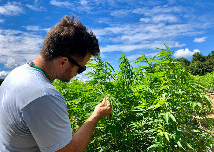 WeedMD to File Second Quarter 2020 Financials on September 23rd