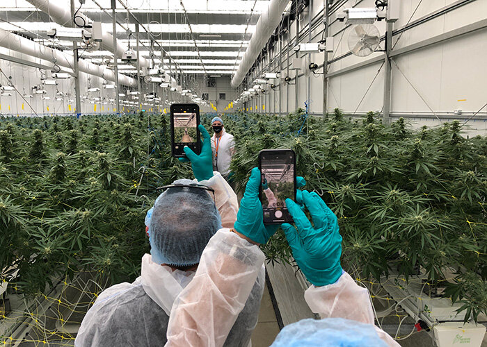 WeedMD Closes Definitive Agreement for $30 Million Credit Facility with LiUNA Pension Fund