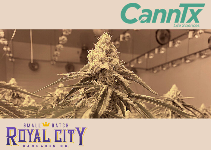 WeedMD and Privately Owned CannTx Life Sciences Sign Letter of Intent to Create a Cannabis Cultivation and Consumer-Centric Product Portfolio