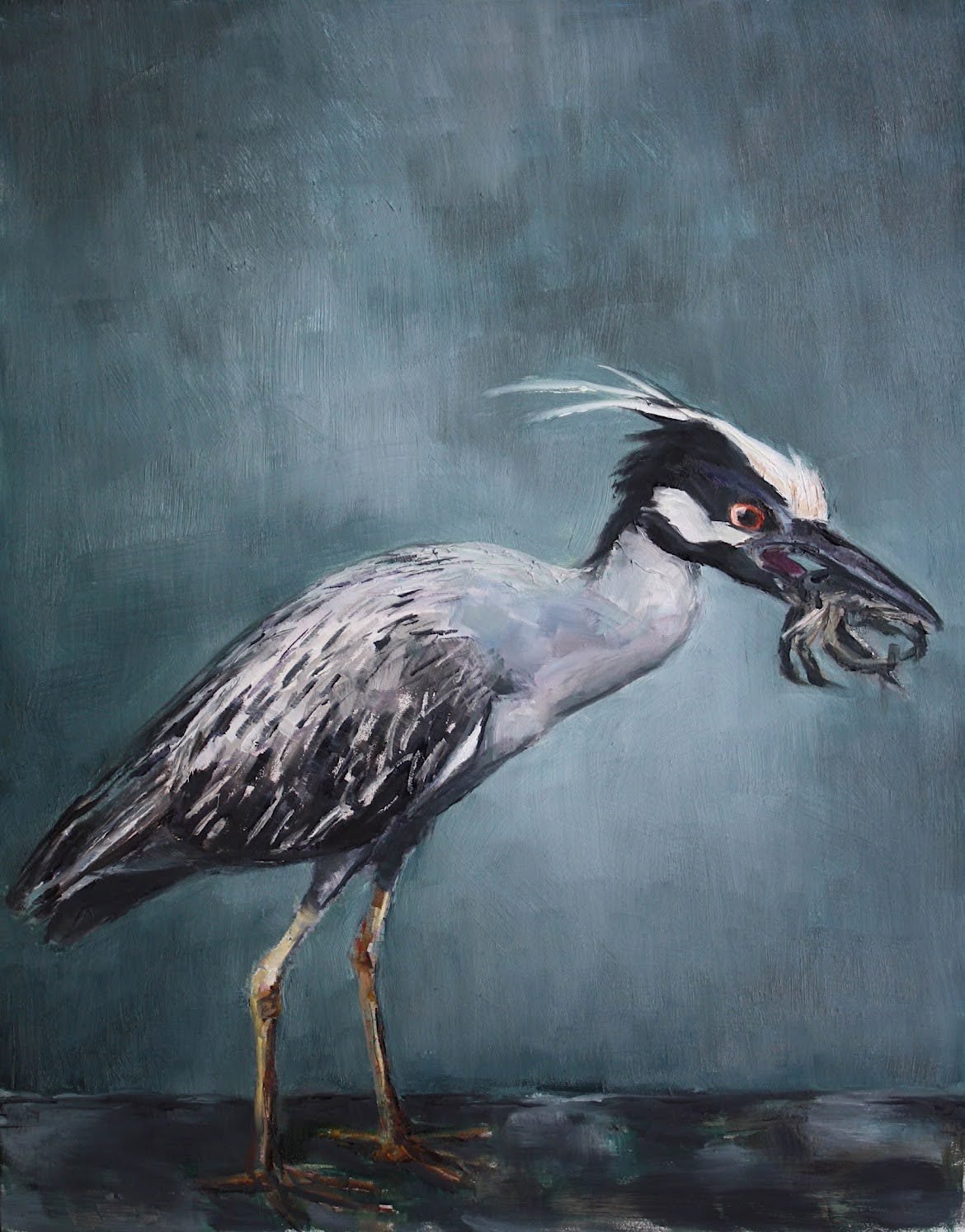 The Hunter (Yellow-crowned Night Heron)