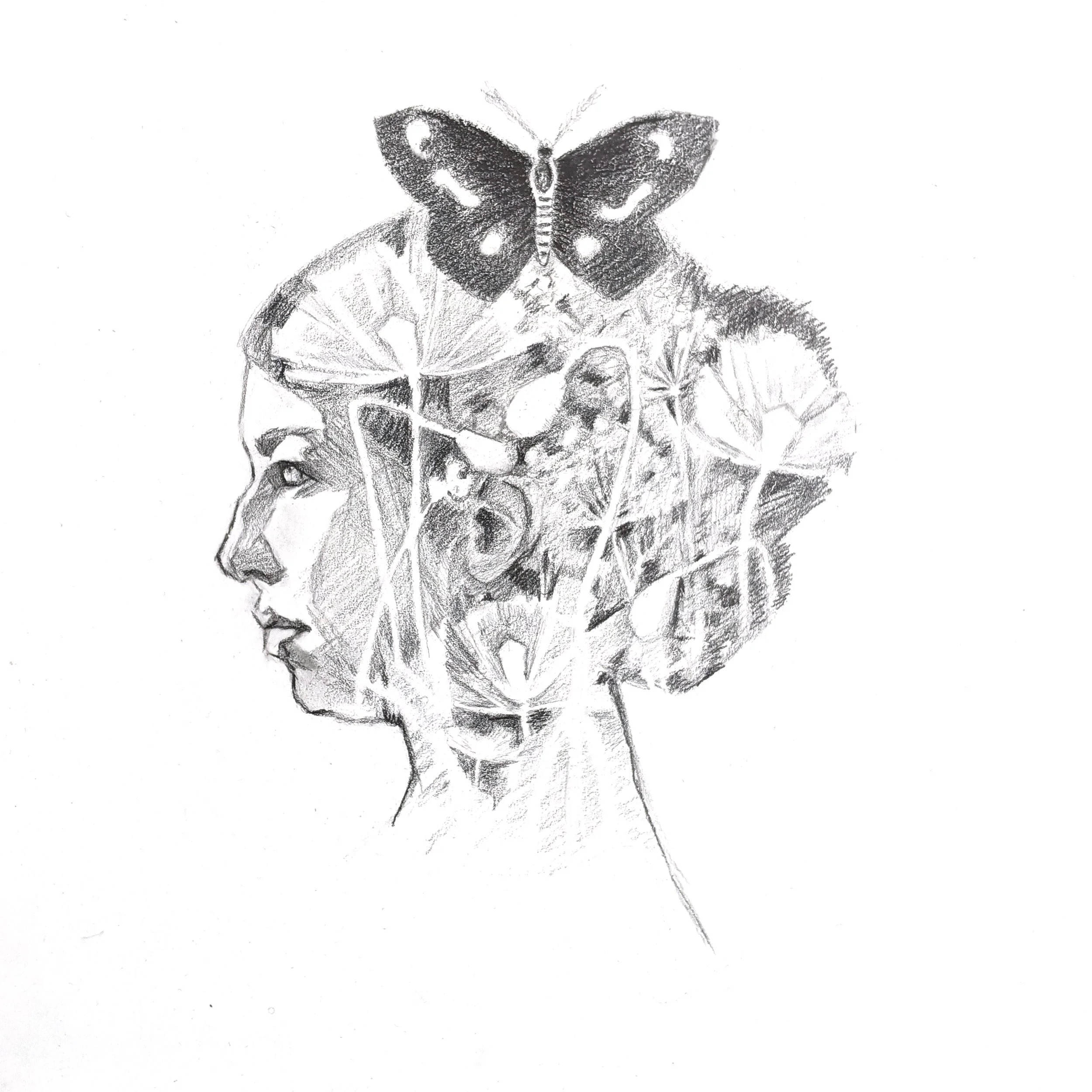 "Vessel", 12x12 Graphite on panel // Oami Powers