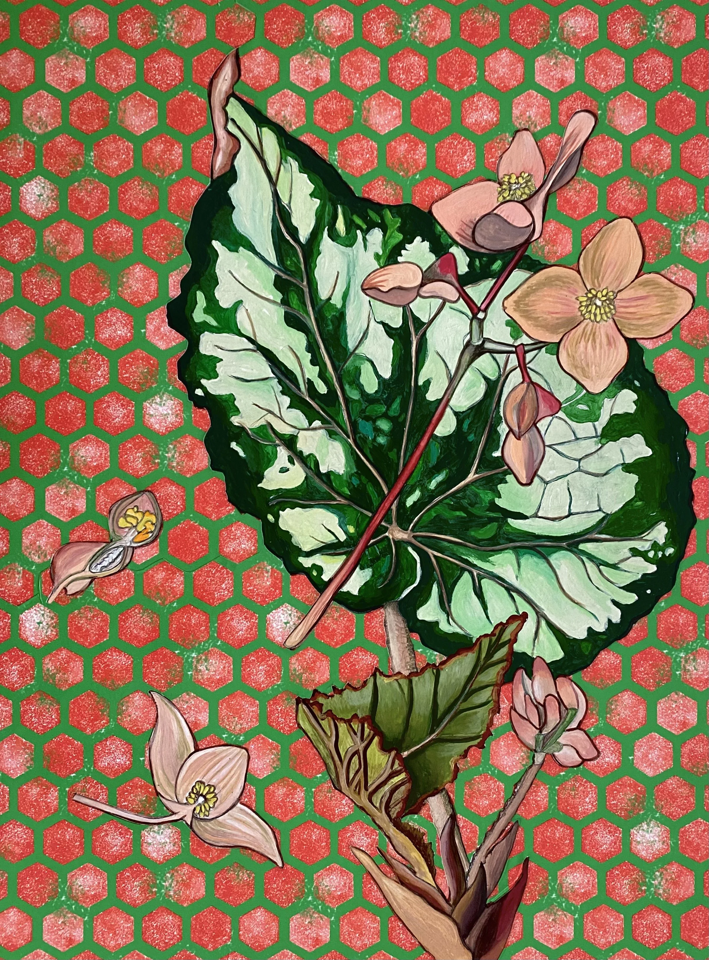 "Begonias", 18"x24" Gouache and wallpaper on panel // Jennifer Clifton