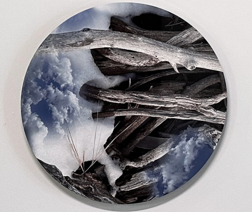 "Everything is in the one thing (no.3)", 24" diameter, Sublimation print on aluminum with high gloss finish // Shelley Smith