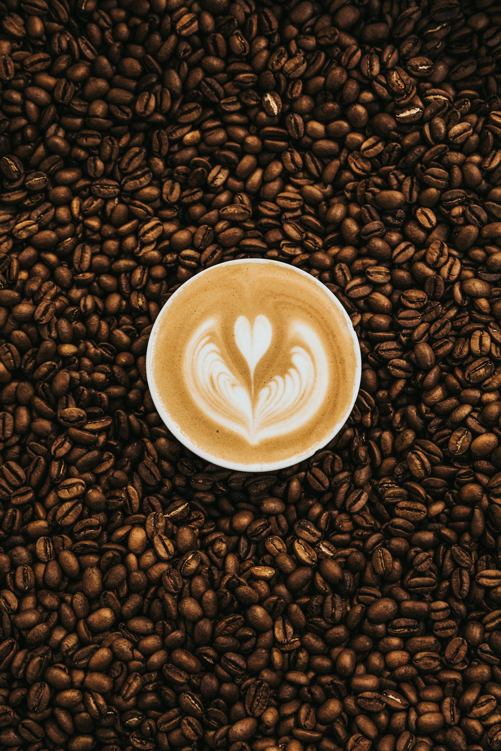 Tracing Water’s Journey Through Coffee, From Seed to Cup