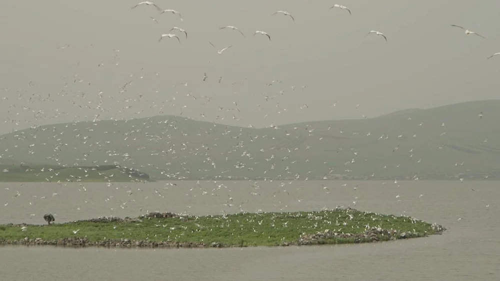 A State in a State / სახელმწიფო სახელმწიფოში (Tekla Aslanishvili, 2022) + Queer Armenian Shorts