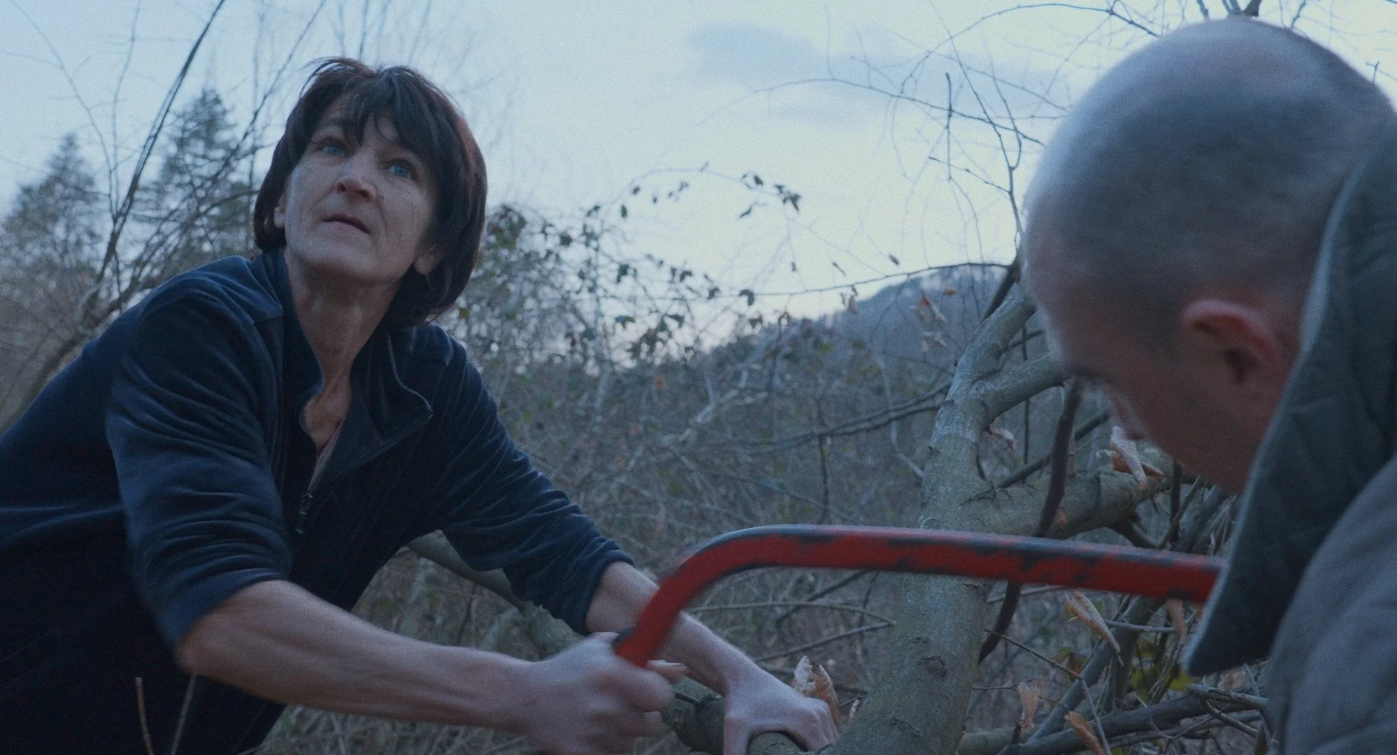 Get Angry: Ceasefire + Other Shorts (Various, 2023–2025)