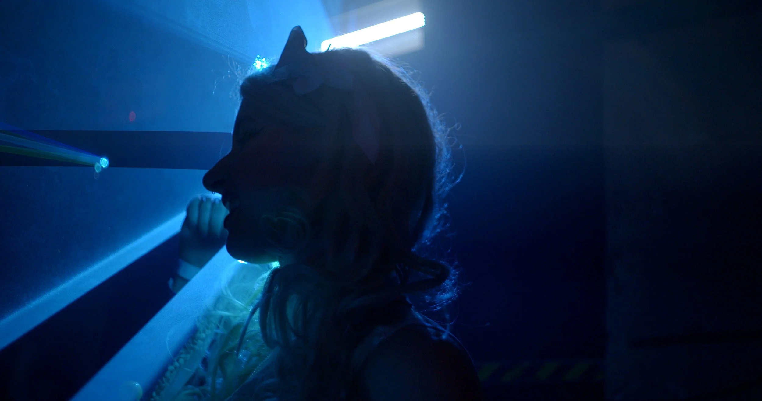 Borscht Film presents: Rave (Lúkasz Ronduda &amp; Dawid Nickel, 2024)