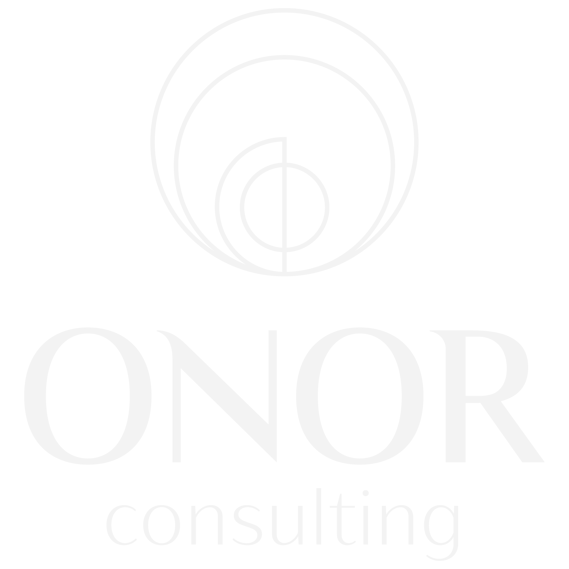Fractional COO - Onor Consulting
