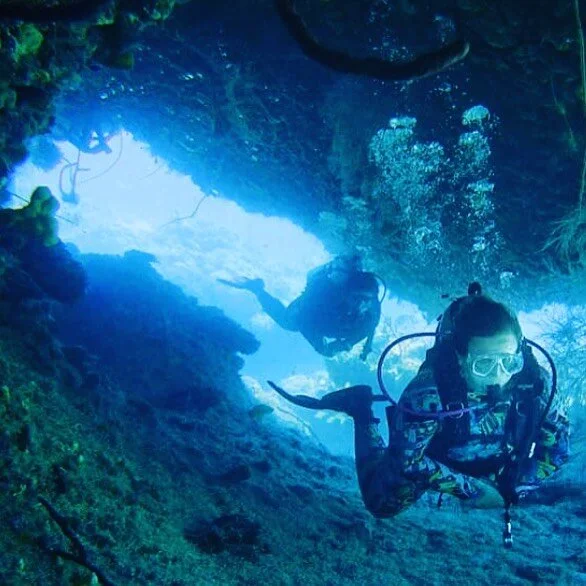 Padi Dive Master.jpeg