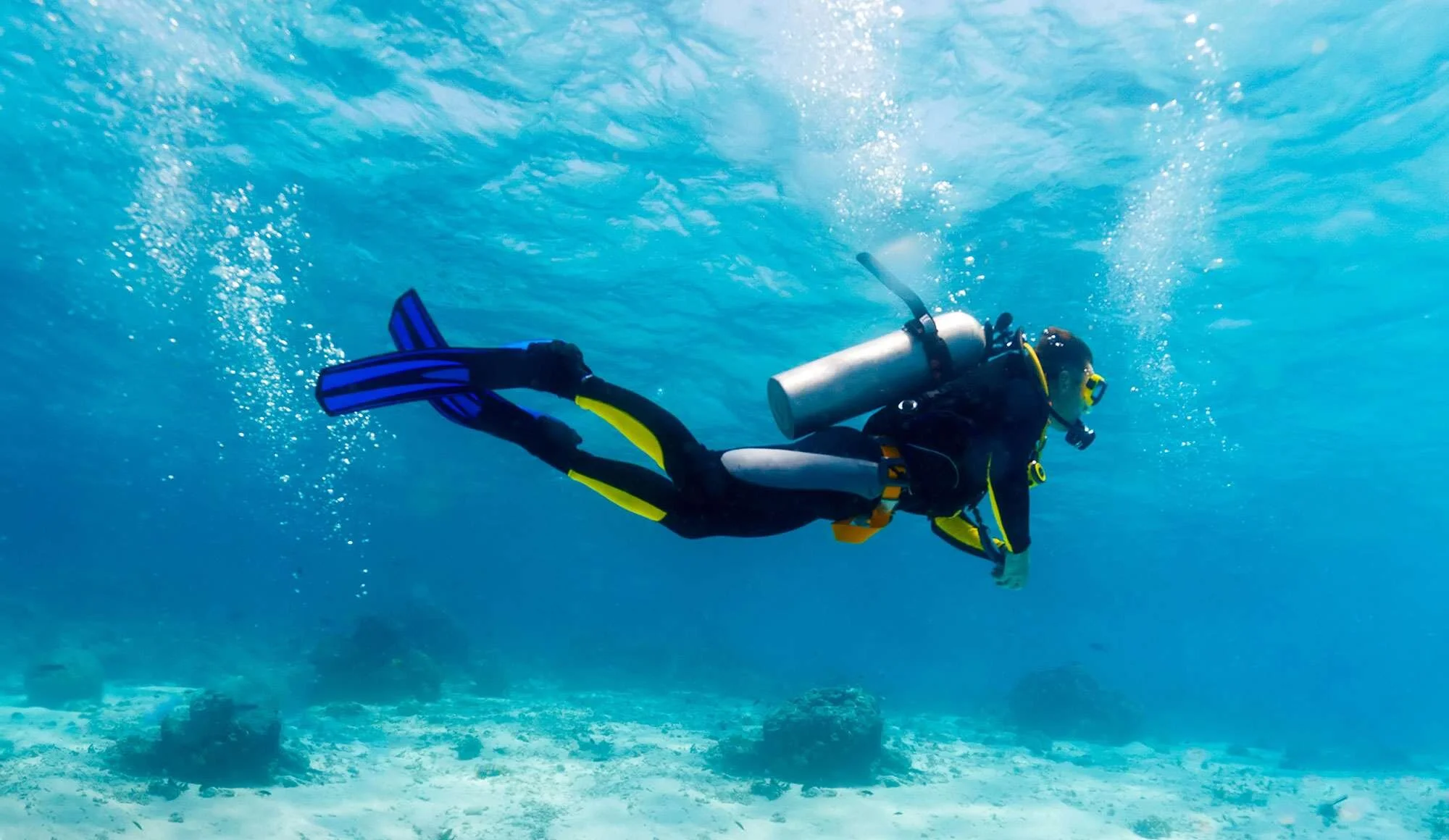 PADI SSI Course.jpeg