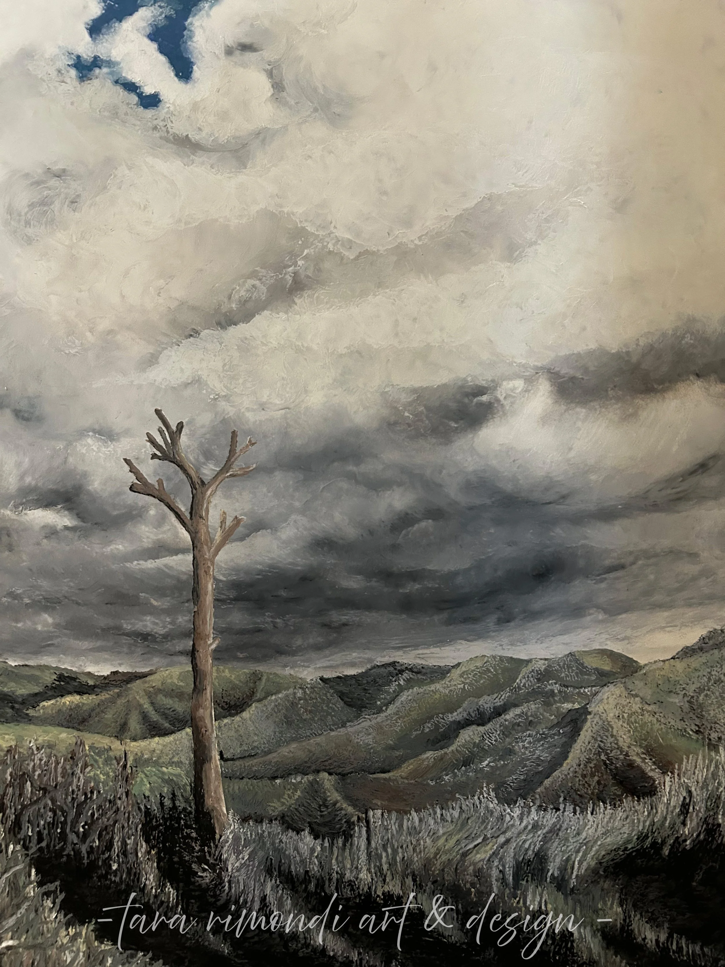 shadows cast behind you.jpg