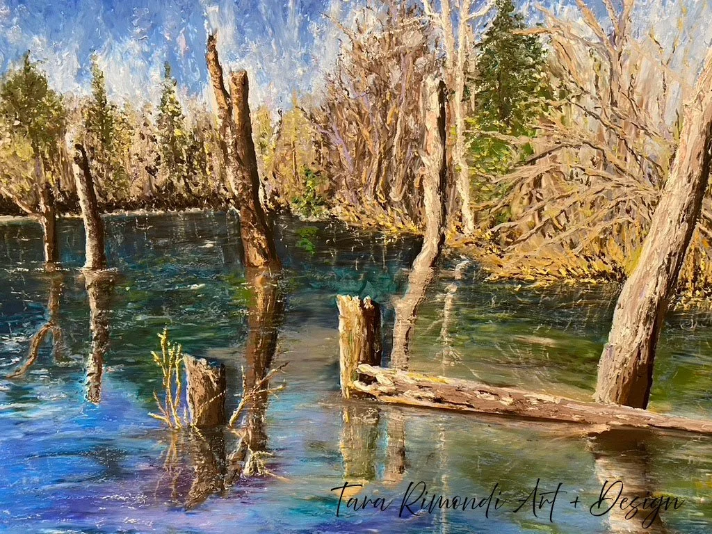 hidden lake, 2024