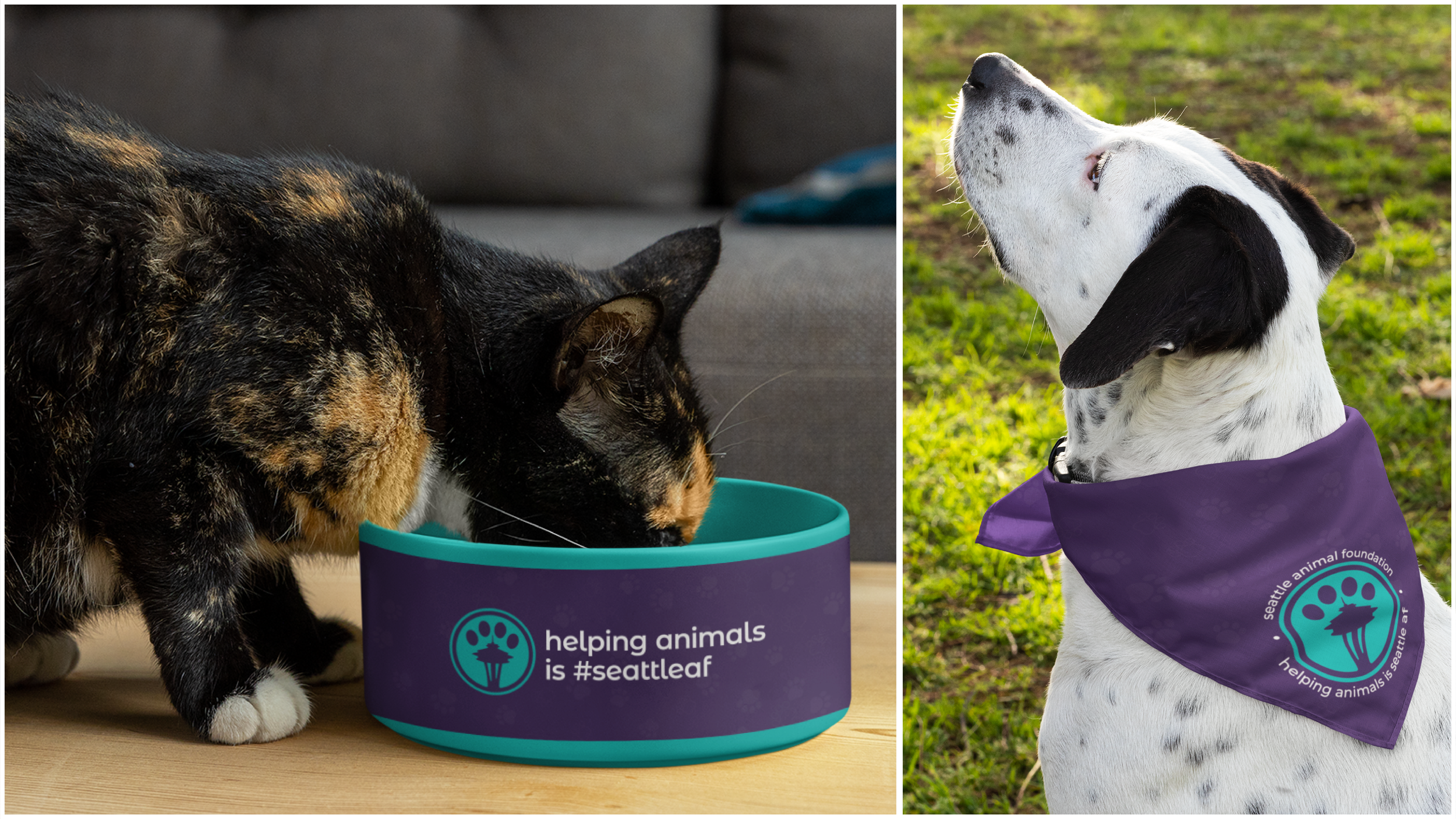 Pet Merchandise Design