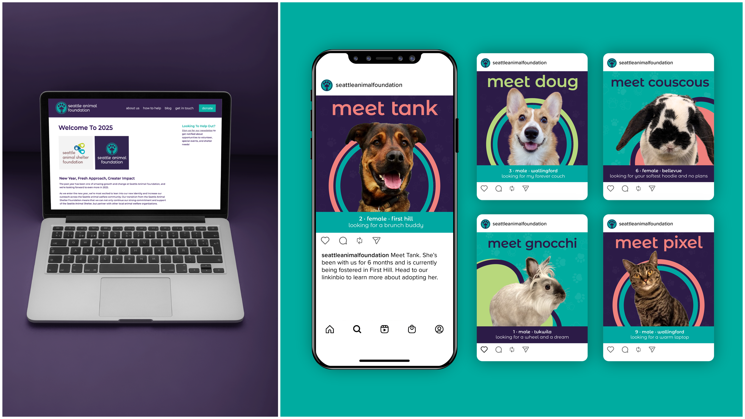 Website Announcement & Social Media Images