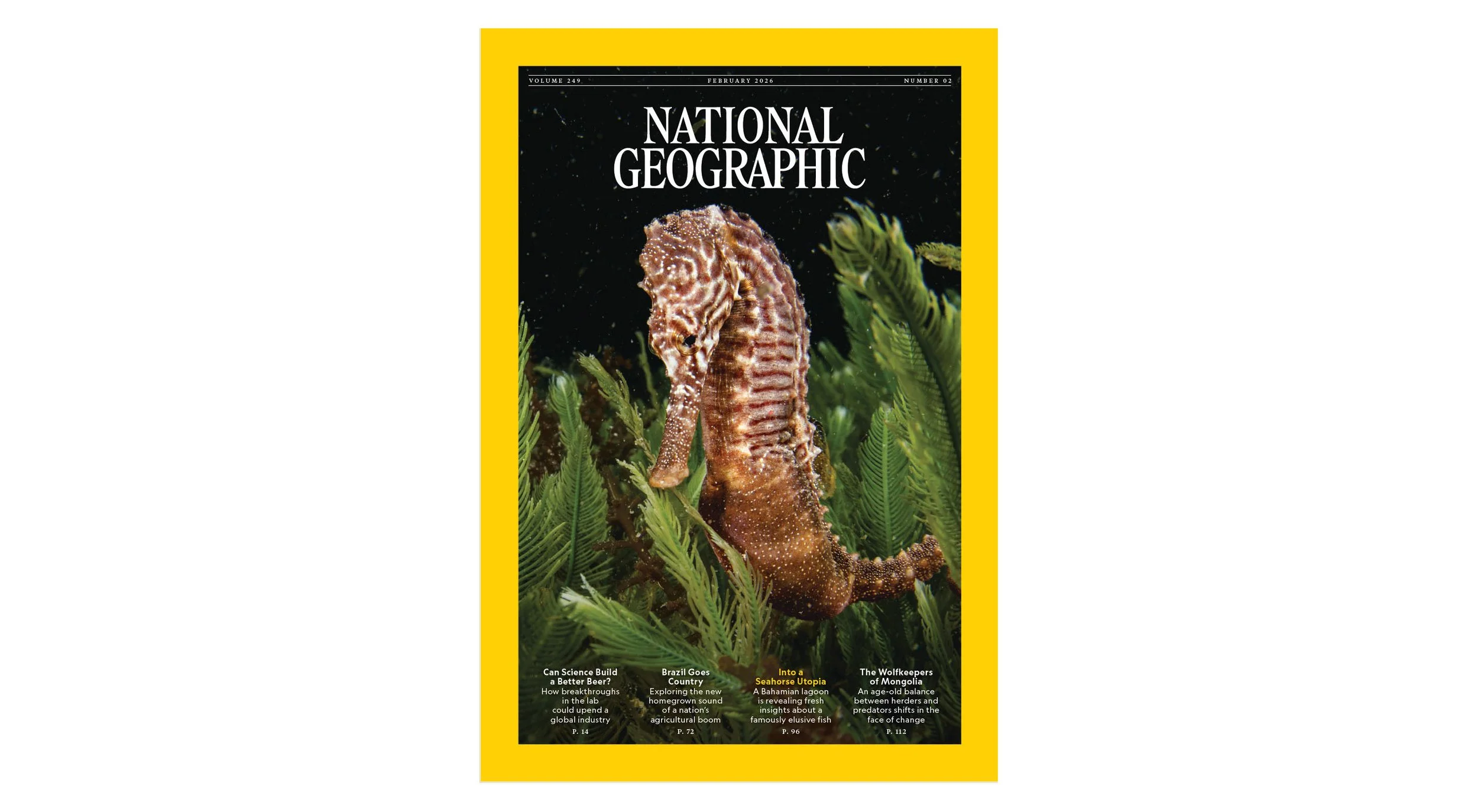 cover for site.jpg