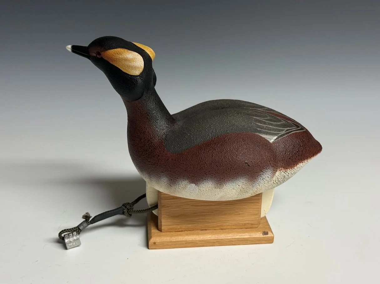 9_10_26_GJBHornedGrebe_82_2.jpg