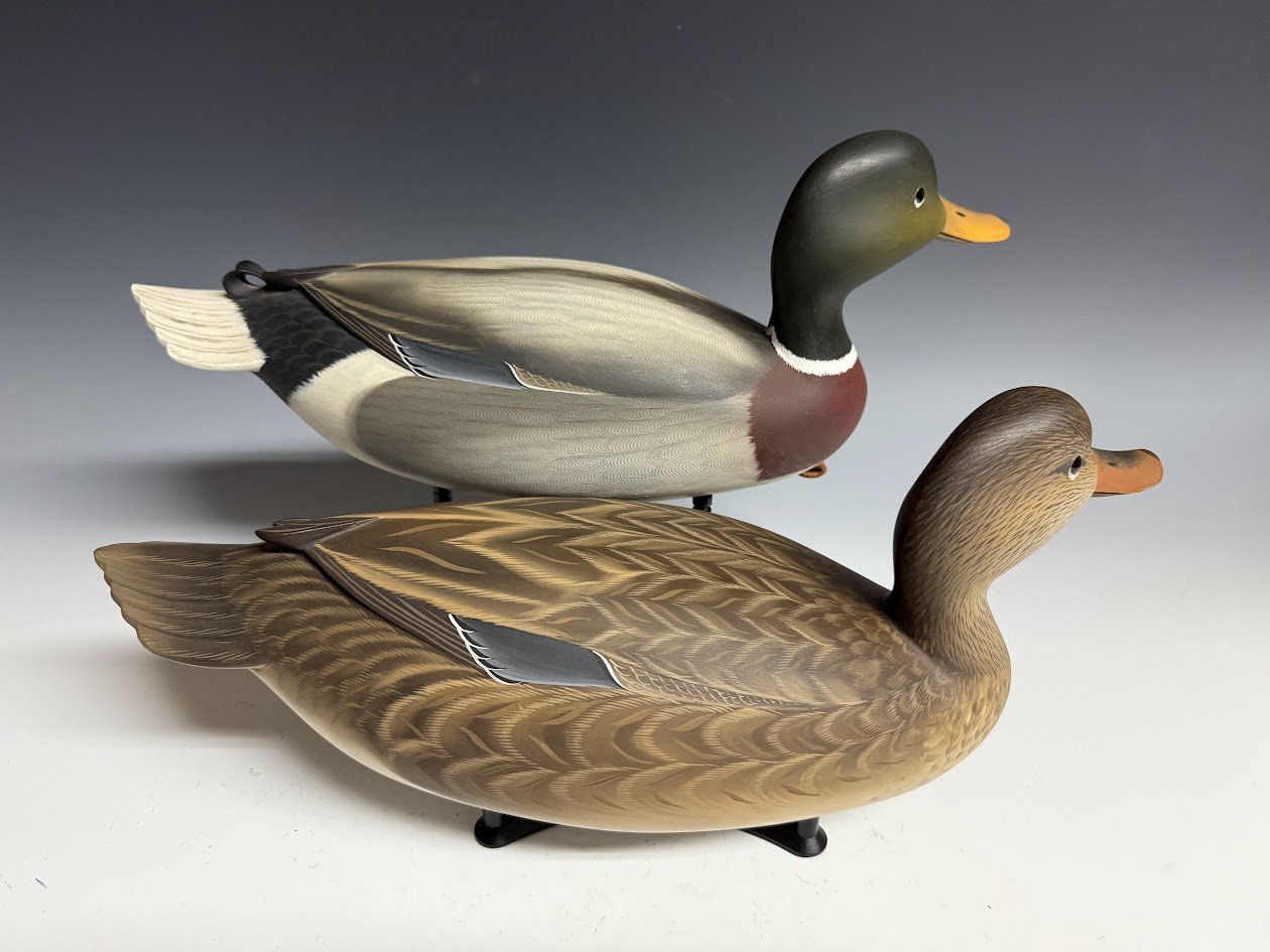 7_7_25_StrunkMallards2.jpg