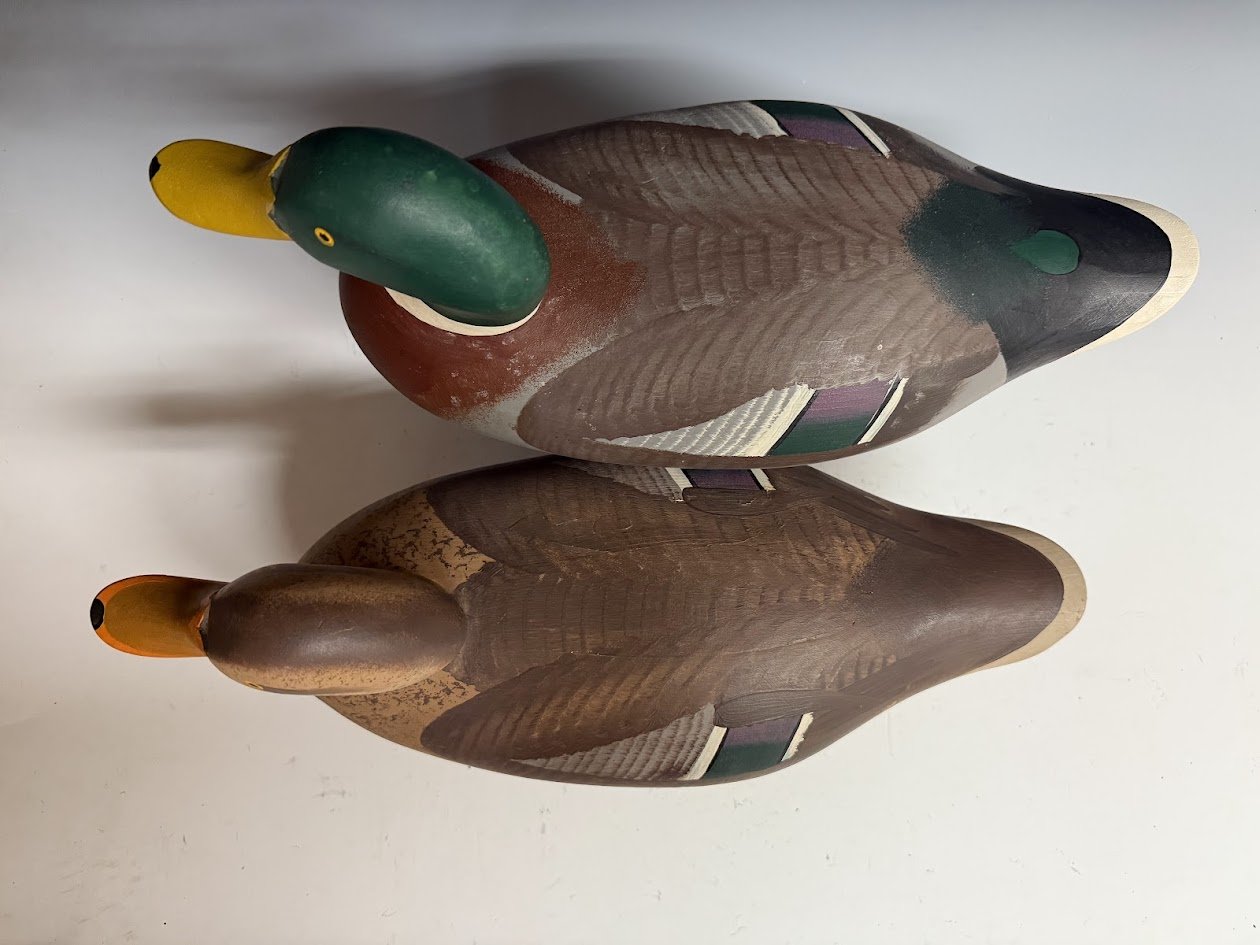 11_16_24_MitchellMallardPair3.jpg