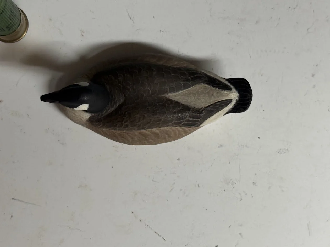 5_13_26_AndersonMiniGoose3.jpg