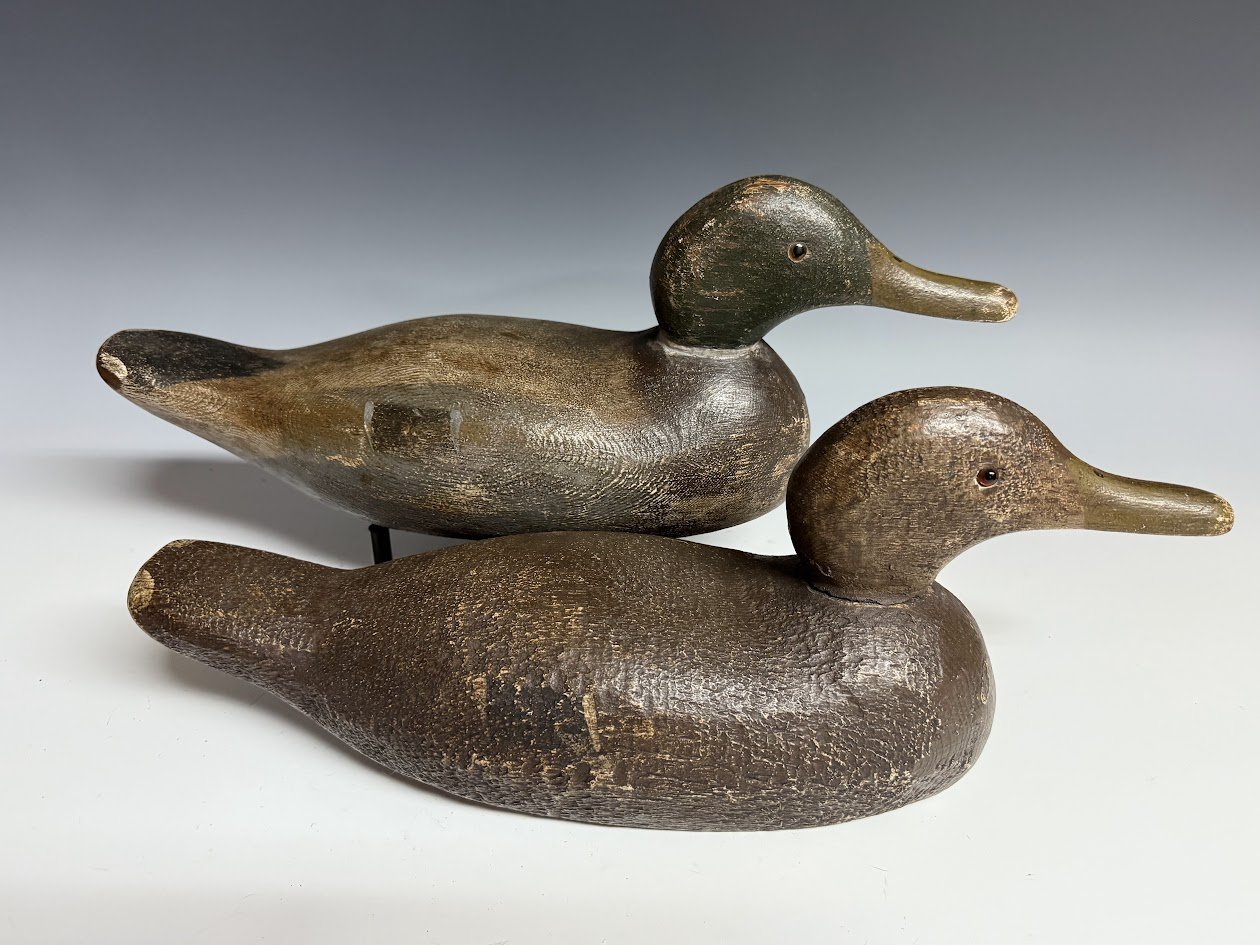 3_28_25_TuvesonMallards1.jpg